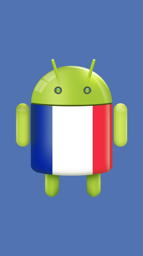 Download french language for android phone